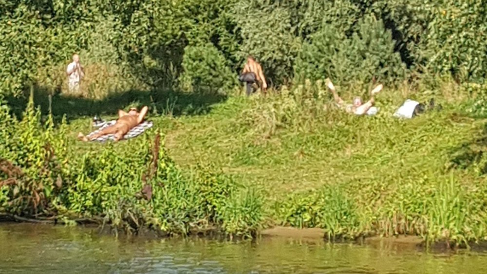 Gangbang drunk in nature