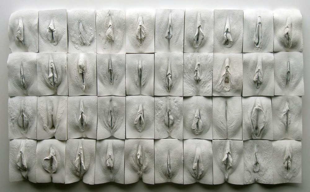 The Great Wall of Vagina Jamie McCartney