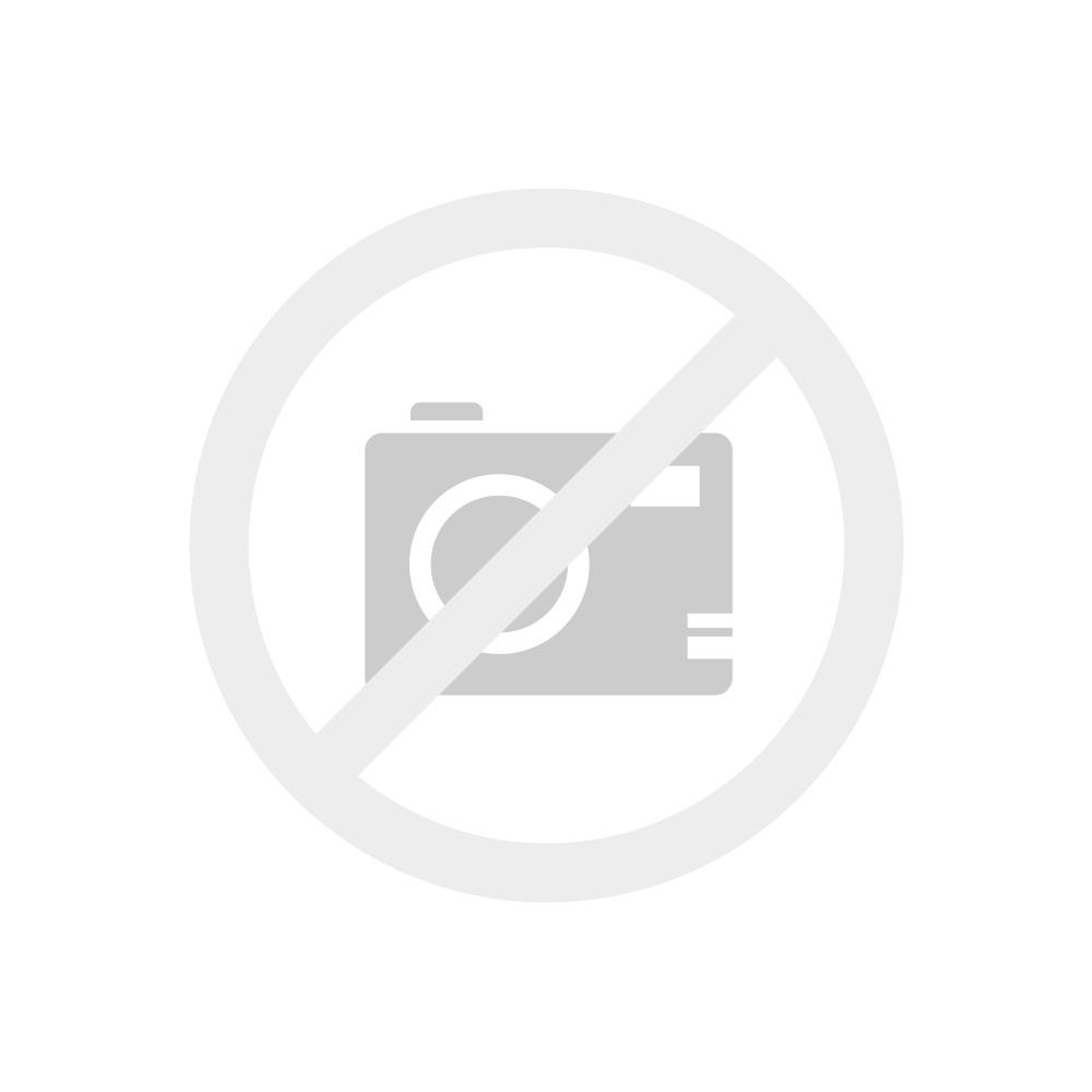 MSI 865GVM2-LS motherboard