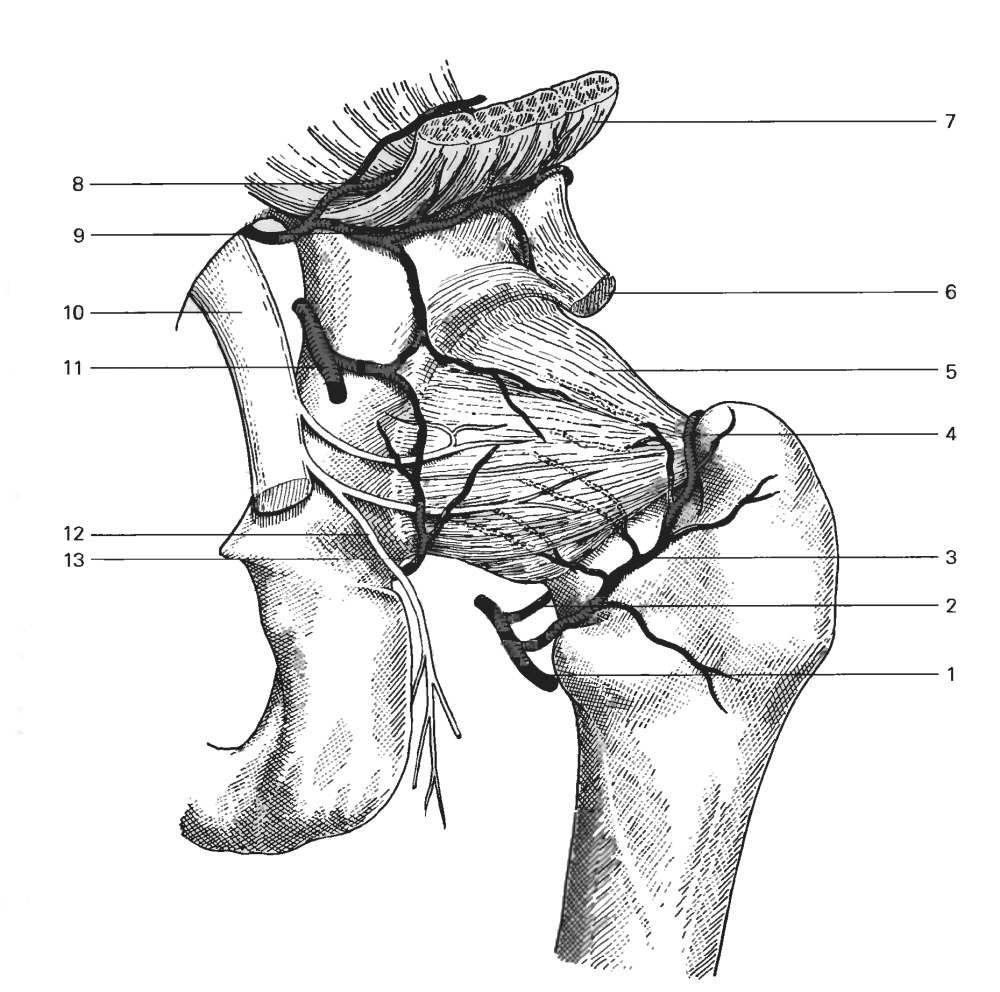 The body of a man in front and behind