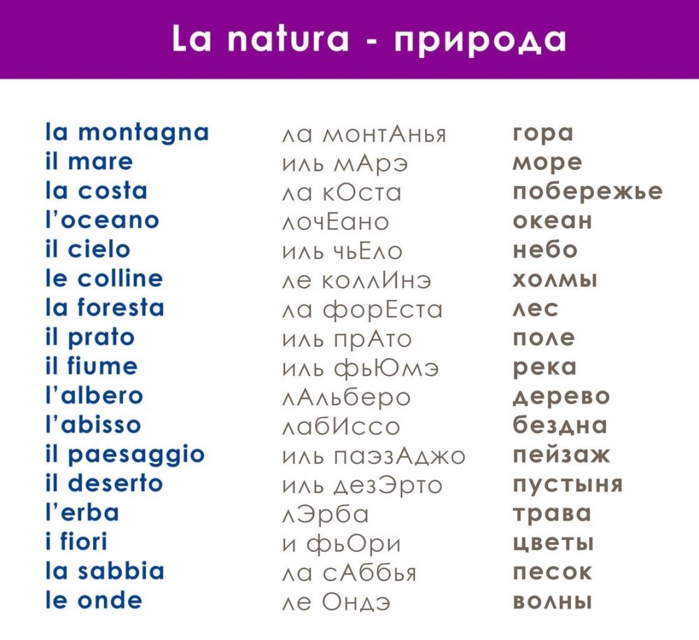 Basic Italian words