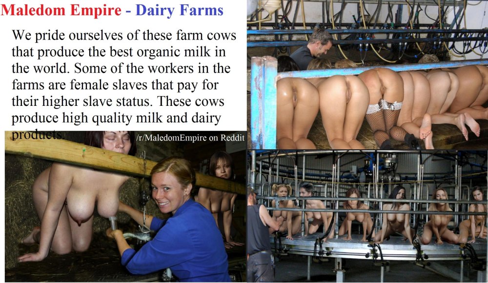 Dairy farm slaves BDSM